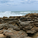 Coquina on the beach at Washington Oaks State Gardens